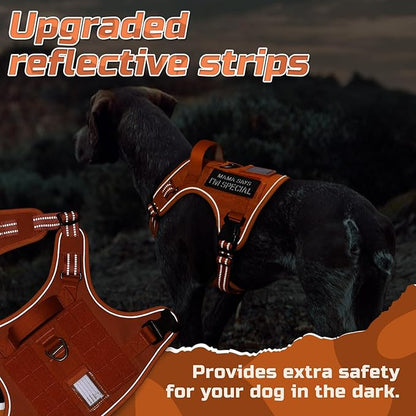 rabbitgoo Tactical Dog Harness for Large Dogs, No Pull Military Service Vest with Handle & Molle, Easy Control for Training Walking, Adjustable Reflective Straps, Orange, XL