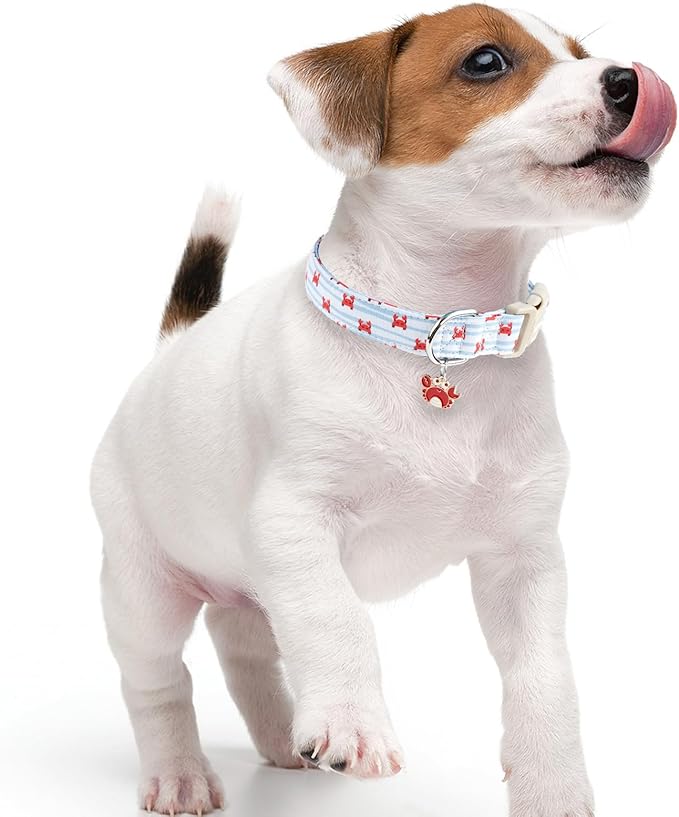 Faygarsle Cute Crab Pattern Dog Collar, Cotton Fabric, Light Blue Stripes, for Small Medium Large Dogs M