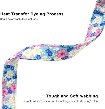 Lionet Paws Floral Dog Collar- Cute Spring Wildflowers Daisy Forget Me Not Dog Collars with Plastic Buckle, Light Adjustable Dog Collars for Medium Dogs