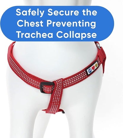 Pawtitas Reflective Step-in Dog Harness – Adjustable No-Pull Vest for Puppies to Seniors, Safe & Comfortable, S Red