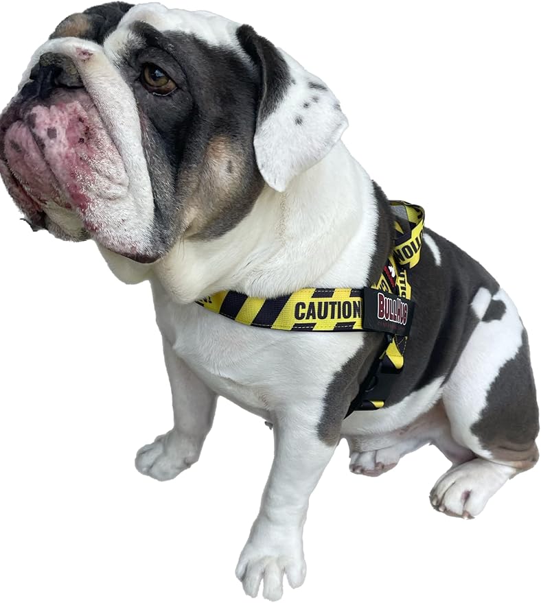 BULLHUG Adjustable Dog Harness– No Pull, No Choke – for English Bulldogs, French Bulldogs, Pugs & Broad-Chested Breeds – Easy, Safe Walks (Caution, Small)