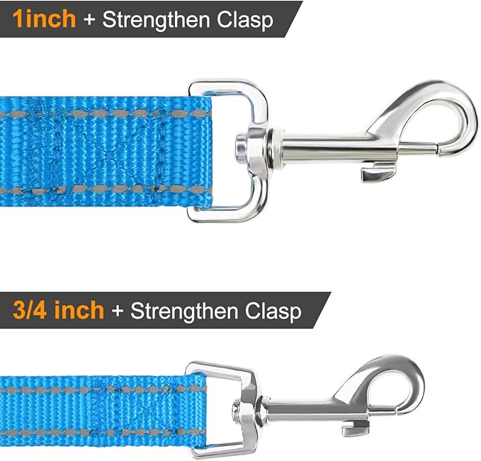 Joytale Double-Sided Reflective Dog Leash, 4 FT, Padded Handle Nylon Heavy Duty Leashes for Medium & Large Dogs Walking, Sky Blue