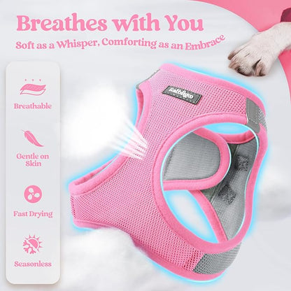 rabbitgoo Dog Harness Small Medium Sized and Leash Set, Step in Soft Light Puppy Vest, Breathable Mesh Pet Harness, Reflective for Safe Easy Walking, Pink & Gray L