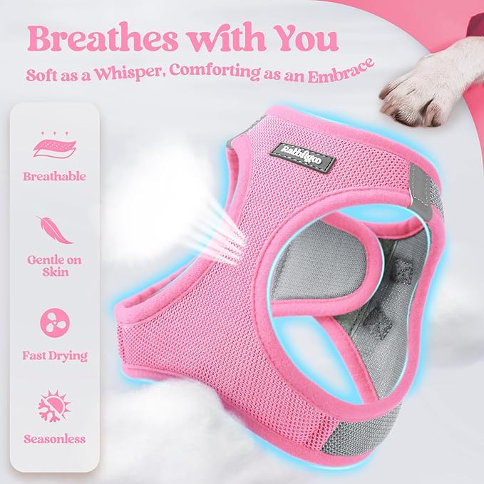 rabbitgoo Dog Harness Small Sized and Leash Set, Step in Soft Light Puppy Vest, Breathable Mesh Pet Harness, Reflective for Safe Easy Walking, Pink & Gray XS
