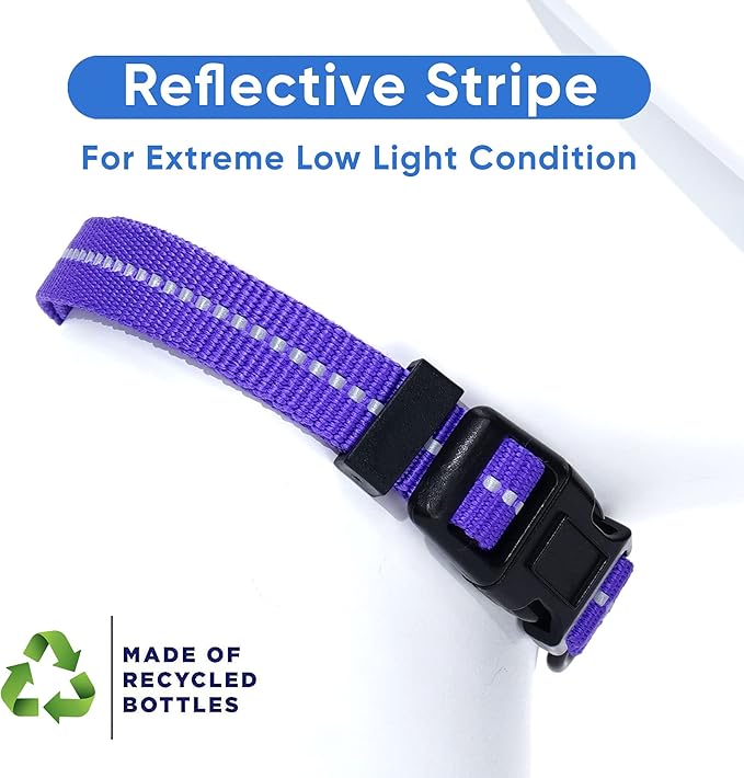 Pawtitas Recycled Dog Collar with Reflective Stitched Puppy Collar Made from Plastic Bottles Collected from Oceans Medium Purple Quartz