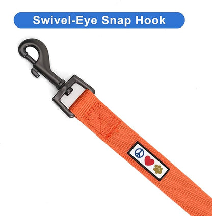 Pawtitas Solid 6 ft Orange Dog Leash M/L Custom Name and Phone Embroidery Strong Nylon Leash for Medium and Large Breeds