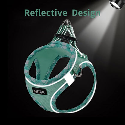 AMTOR Small Dog Harness with Leash Set, No Escape Easy Walk Puppy Harnesses for Training Walking, Step-in Reflective Soft Dogs Vest for XS S Medium Extra-Small Large Sized Dog(Green,L)