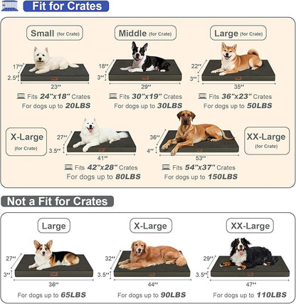 Tail Stories Plush Orthopedic Dog Bed for Medium Dogs & Puppies, Waterproof Dog Beds 29x18 Inch with Removable Washable Cover, Egg Crate Foam Flat Pet Mat, Coffee