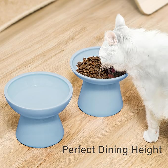 CEEFU 2 Elevated Ceramic Cat Bowls Extra Wide for Food & Water – Whisker Fatigue Shallow Food Dish, Lead & Cadmium-Free, Raised Height for Cats, Blue