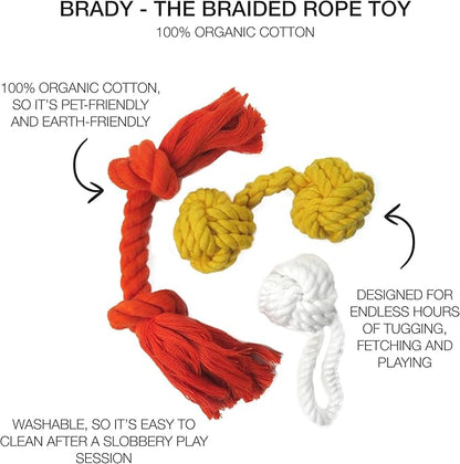 Brady The Rope Tug Toy 3-Pack Organic Cotton Dog Rope Pull Toys for All Pet Breeds, Halloween, One Size