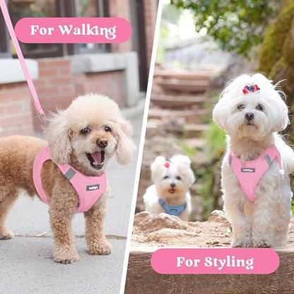rabbitgoo Small Dog Harness, Step-in Soft Mesh Puppy Vest with Safety Buckle, Breathable Reflective Pet Harness for Small Medium Dogs, Light Pink XL