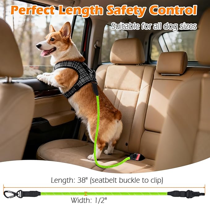 PetBonus Dog Seat Belt for Car, Durable Rope Dog Car Harness Seatbelt for Vehicle, Pet Tether Safety Restraint with Heavy Duty Buckle Hook Latch Lockable Clip for Small Medium Large Breeds (Green)