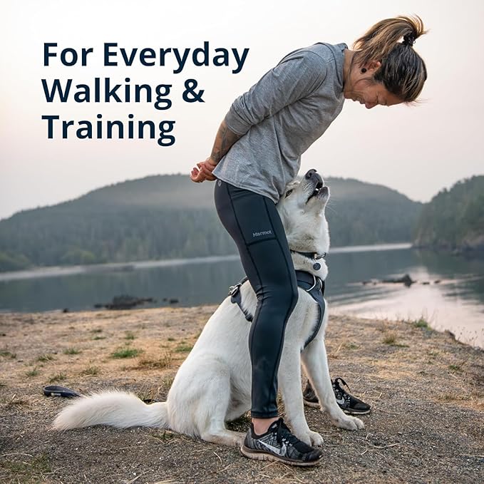 Ruffwear, Front Range Dog Harness, Reflective Soft Padded Everyday Harness with Dual Leash Clips, Adjustable and Lightweight Fit for Training or Walking for All Dogs, Basalt Gray, XX-Small