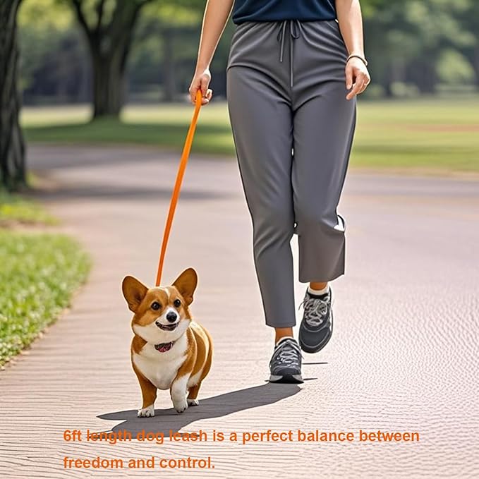 6 FT Puppy Leashes, Strong Traditional Style Leash with Easy to Use Collar Hook,Dog Lead Great for Small and Medium and Large Dog (Orange, 5/8 in x 6 ft)