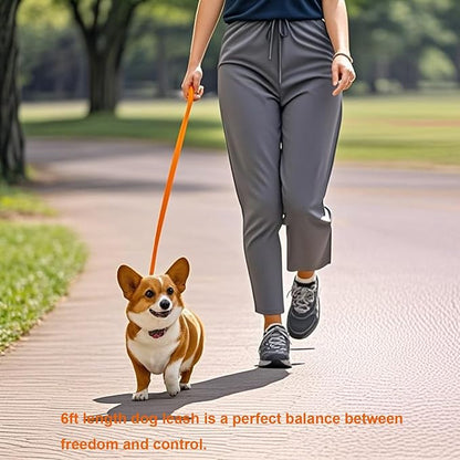 6 FT Puppy Leashes, Strong Traditional Style Leash with Easy to Use Collar Hook,Dog Lead Great for Small and Medium and Large Dog (Orange, 5/8 in x 6 ft)