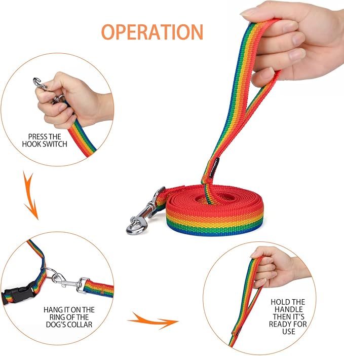 Siumouhoi Strong Durable Nylon Dog Training Leash, 1 Inch Wide Traction Rope, 6 ft 10ft 15ft Long, for Small and Medium Dog (Rainbow, 10 Feet)
