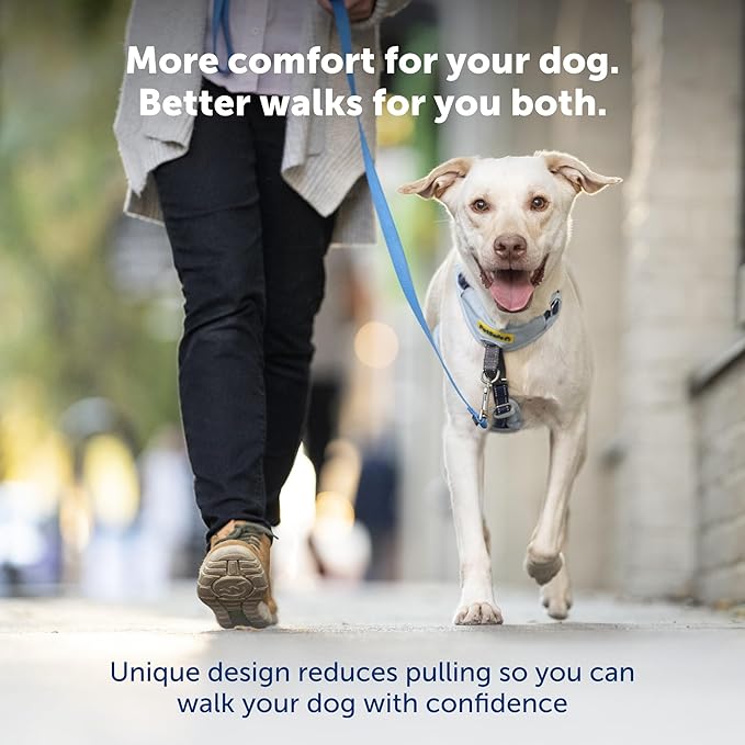 PetSafe Easy Walk Comfort No-Pull Dog Harness Full-Body Padding - Better Walks on The First Use - 5 Points of Adjustment Small/Medium, Blue (Pack of 3)