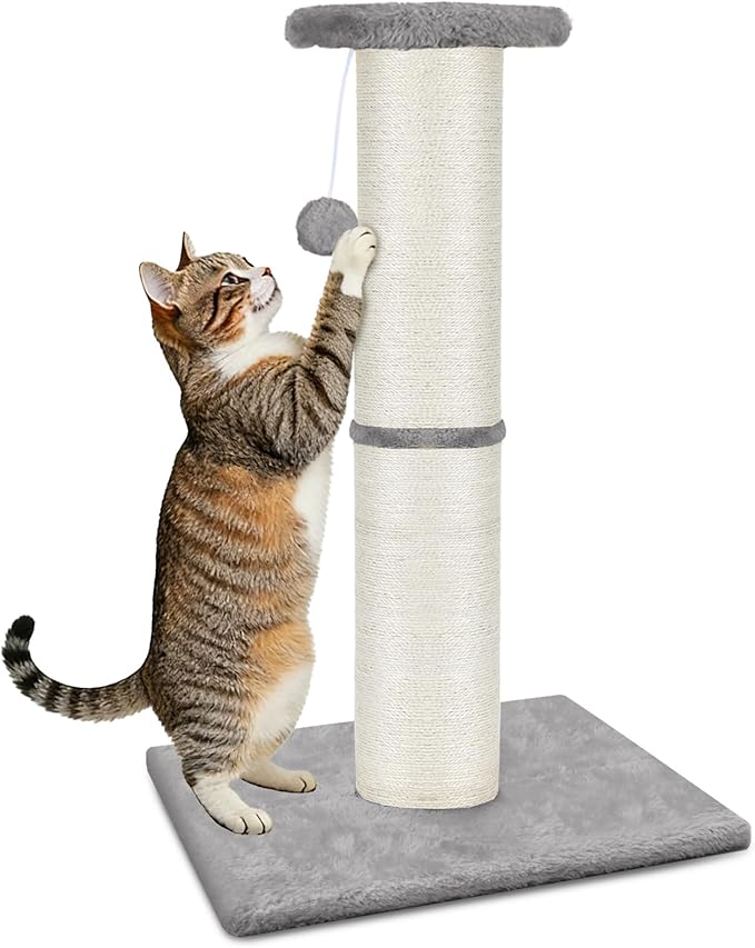 PAWSCRAT Cat Scratching Post 32" Tall, Large Diameter Natural Sisal Cat Scratch Post with Dangling Ball for Indoor Cats, Scratch-Resistant Durable and Protect Your Furniture, LightGrey