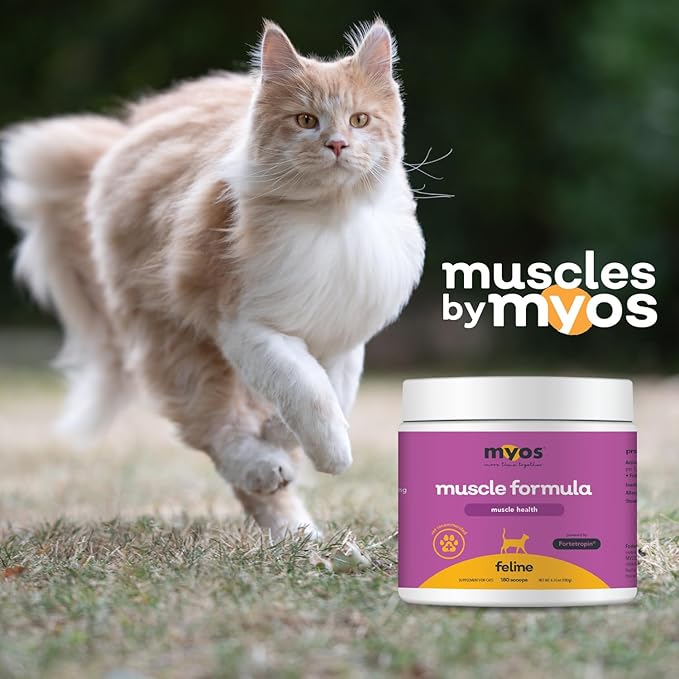 MYOS Feline Muscle Formula - Powered by Fortetropin for Senior Cats - Aids Weight Gain, Muscle Growth & Mobility Support - Natural, Cat Nutritional Supplement - 180 Servings