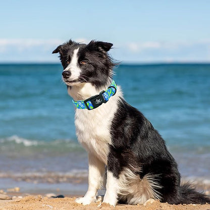 Elegant little tail Dog Collar, Pet Collar Blue Puppy Collar Plastic Durable Holiday Female or Male Cotton Adjustable Pet Collar with Quick Release Buckle for Large Dogs