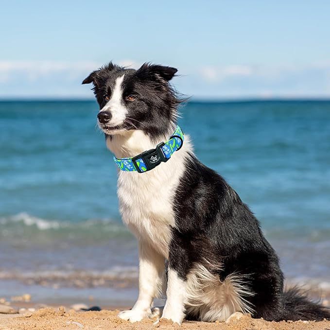 Elegant little tail Dog Collar, Pet Collar Blue Puppy Collar Plastic Durable Holiday Female or Male Cotton Adjustable Pet Collar with Quick Release Buckle for X-Small Puppy