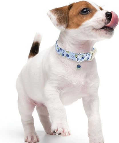 Faygarsle Blueberry Pattern Dog Collar for for Summer Small Medium Large Dogs Light Blue XS