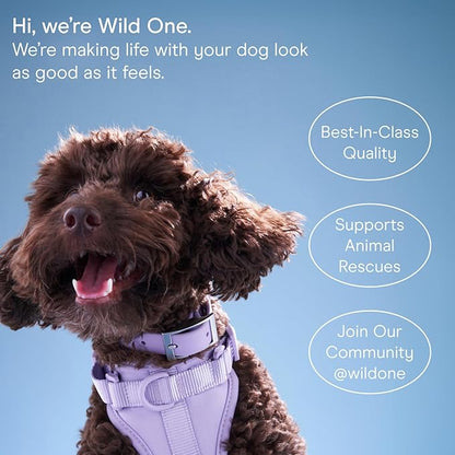 Wild One, Eucalyptus Natural Dog Grooming Wipes, Cruelty-free, resealable lid, 70 wipes per pouch, 210 Count