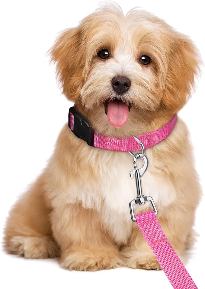 Weewooday 8 Pieces Dog Collar and Leash Set Nylon Adjustable Dog Collars and Leash Personalized Puppy Supplies for Small Medium Large Pet Walking Training, 4 Colors