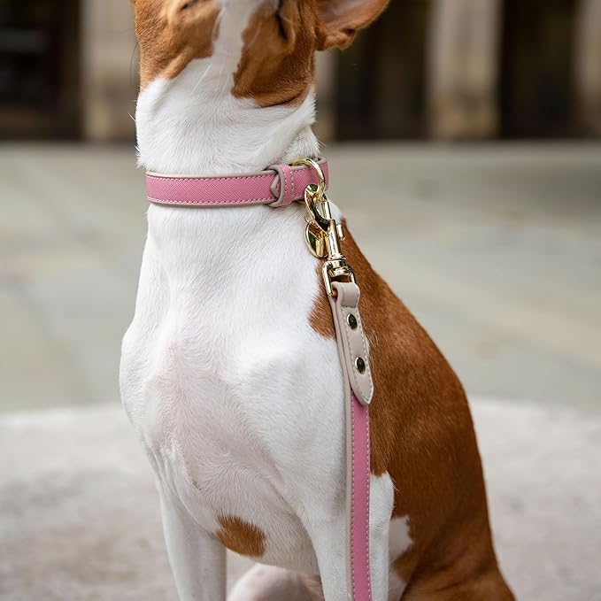 Nina Woof Rio Vegan Leather Dog Leash (4ft) Padded Luxury Dog Lead - Dog Leash Large Dogs, Dog Leashes for Medium Dogs & Ideal Long Dog Leash and Compatible with Dog Collars (Pink)