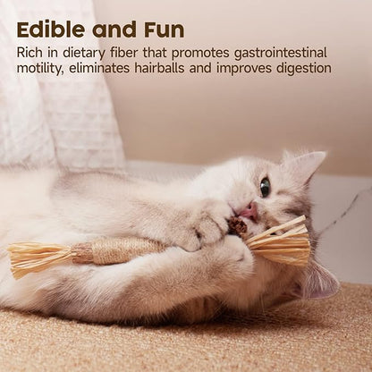 Potaroma 6 Pcs Natural Silvervine Sticks Cat Toys, Catmint Silvervine Blend Sticks, Kittens Chew Toys for Teeth Cleaning, Matatabi Dental Care Cat Treat, Edible Kitty Lick Toys
