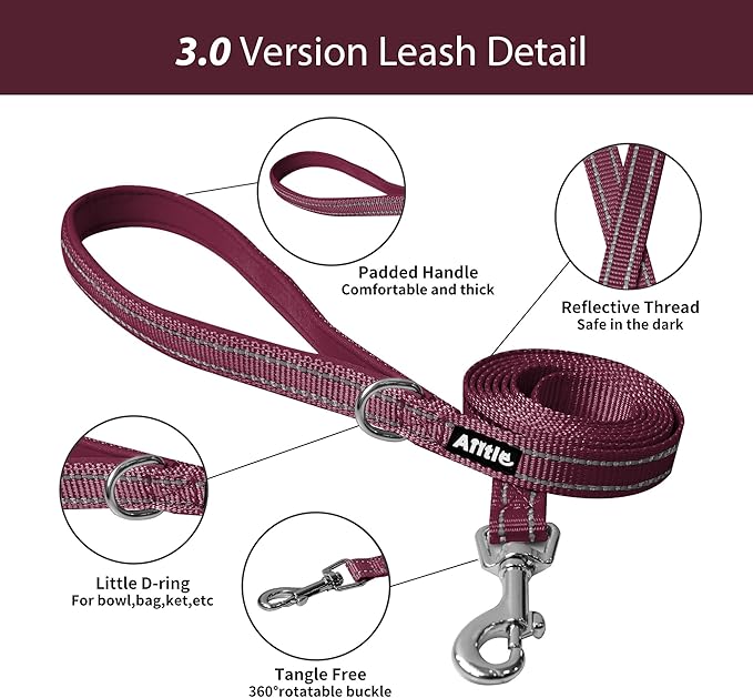 AIITLE Comfortable Dog Harness and Leash Set for Walking - Christmas Step in Vest Harness,Reflective Bands, Adjustable No Pull Puppy Essentials, for Small Dogs and House Cats Burgundy XS