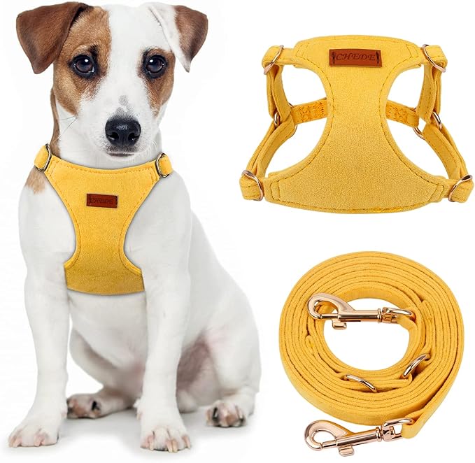 CHEDE No Pull Puppy Harness and Multifunction Dog Leash Set- 8 Colors Soft Adjustable No Choke Escape Proof Cute,Lightweight Pet Vest Harness for Small and Medium Dog (M, Yellow)