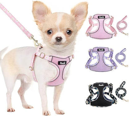 SlowTon Small Dog Harness - No Pull Dog Harness and Leash Set, Soft Mesh Lightweight Puppy Vest Harnesses, Adjustable Pet Harnesses for XXS XS Small Medium Easy Walk Hiking (Pink, XS)