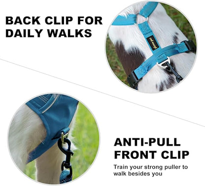 Plutus Pet No Pull Dog Harness, Reflective Adjustable Dog Vest Harness with Handle, Escape Proof, Soft Padded for Small Medium Large Dogs (Light Blue, S)