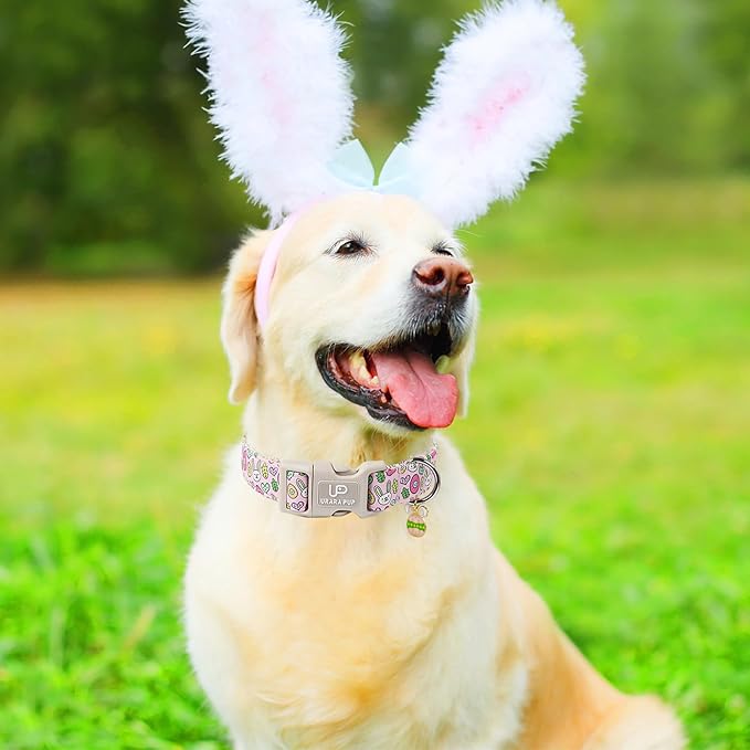 Easter Bunny Dog Collar,Cotton Easter Eggs Dog Collar for Puppy Girl Boy Dogs,Cute Bunny Pet Collars with Quick Release,Easter Gift Dogs Collars