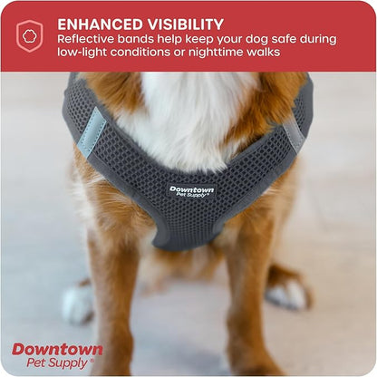 Downtown Pet Supply Step-in Dog Harness – No Pull, Adjustable Padded Mesh with Reflective Trim, Secure Buckle Strap – Comfortable & Breathable Small Dog Harness, XX-Small, Charcoal