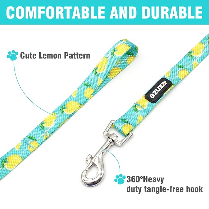 azuza Dog Collar and Leash Set, Lemon Patterns on Blue Nylon Collar and Matching Leash, Great Option for Extra Small Dogs