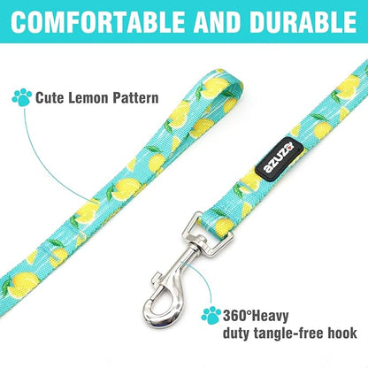 azuza Dog Collar and Leash Set, Lemon Patterns on Blue Nylon Collar and Matching Leash, Great Option for Extra Small Dogs