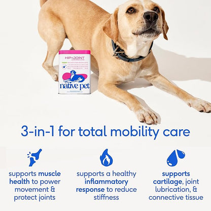 Native Pet Advanced Care - Hip & Joint Supplement for Dogs - Supports Joints, Cartilage, Muscles & Anti-Inflammatory with HMB, UC-II Collagen, Green Lipped Mussel & Hyaluronic Acid - 30 Scoops