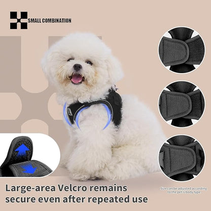 Adjustable Dog Harness with Leash, Reflective Mesh, No-Pull Design，Matching Lead Rope (Black, XXS)