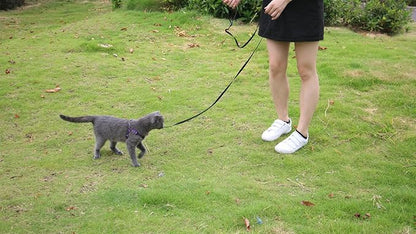 AMAGOOD 6 FT Cat Leash, Strong and Durable Traditional Style Leash with Easy to Use Collar Hook,Cat Lead Great for Cats (3/8" x 6 Feet,Black and Black(2-Pack))