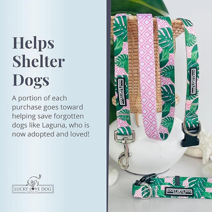 Lucky Love Dog Leash – Soft, Durable, and Comfortable Leash with Vibrant Patterns – Stylish and Long Lasting for Large Male and Female Dogs – Laguna, Large