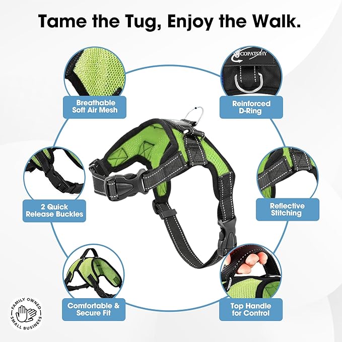 No Pull Reflective Adjustable Dog Harness with Handle- Comfortable Soft All Weather Mesh, Easy On Puppy Harness for Small Medium and Large Dogs (Green) Large
