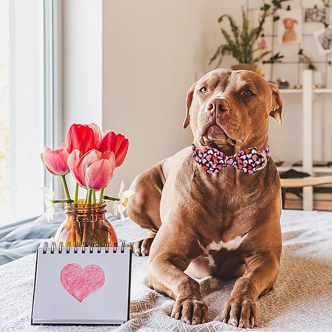 Valentines Dog Collar with Bow Tie,Colorful Love Heart Valentine Dog Collars with Safety Metal Buckle Adjustable Puppy Collars for Small Medium Large Boy & Girl Dogs XL