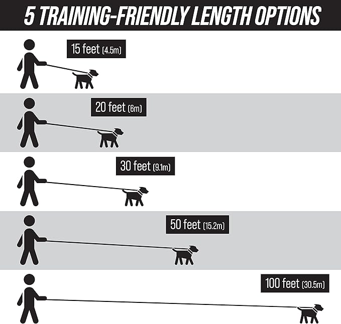 Leash Boss Long Trainer - 1 Inch Nylon Long Dog Training Leash with Storage Strap (20 Ft, Black)