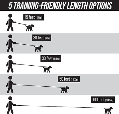 Leash Boss Long Trainer - 1 Inch Nylon Long Dog Training Leash with Storage Strap (20 Ft, Black)