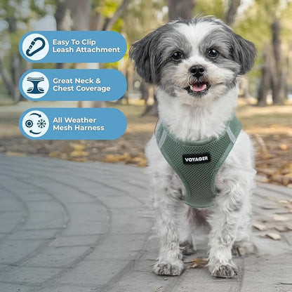 Best Pet Supplies Voyager Step-in Air Harness - All Weather Mesh, Reflective, No Pull Harness for Dogs, Cats - Secure with Hook & Loop Fastener, Buckle, Double D-Rings - Moss Green, XS