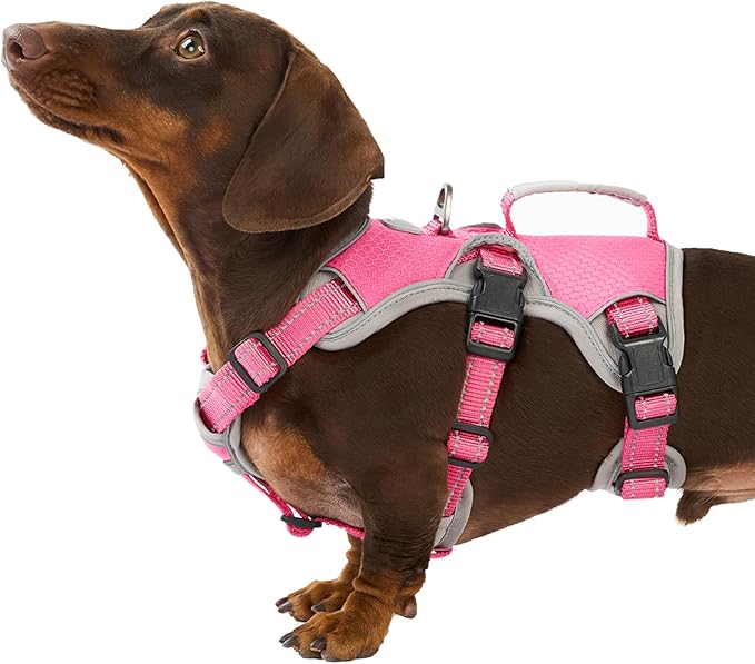 Huntboo Escape Proof Dog Harness, Escape Artist Harness, Reflective Dog Harness with Handle, Durable,Adjustable Vest for Small Medium Large Dogs Walking, Training, and Running Gear(Rose Red, S)