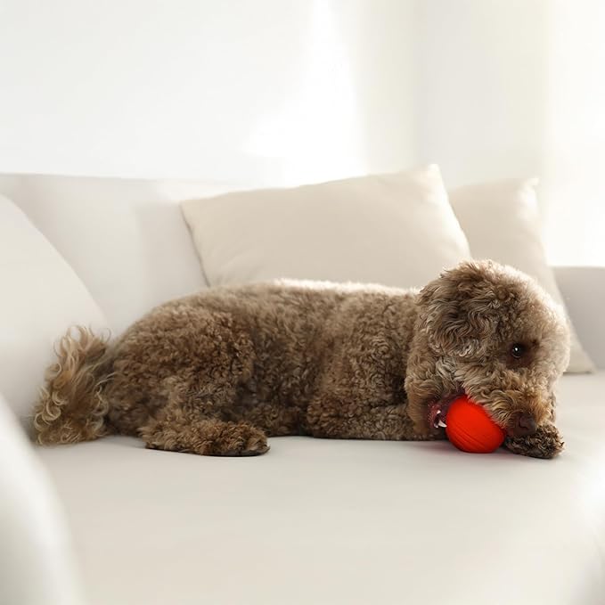 Playology Dog Toys | Dual Layer Ball Durable Chew Toy for Aggressive Chewers | Medium Beef Scented Toy - Easy to Clean and Made from Non Toxic Materials