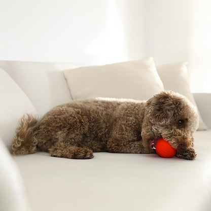 Playology Dog Toys | Dual Layer Ball Durable Chew Toy for Aggressive Chewers | Medium Beef Scented Toy - Easy to Clean and Made from Non Toxic Materials